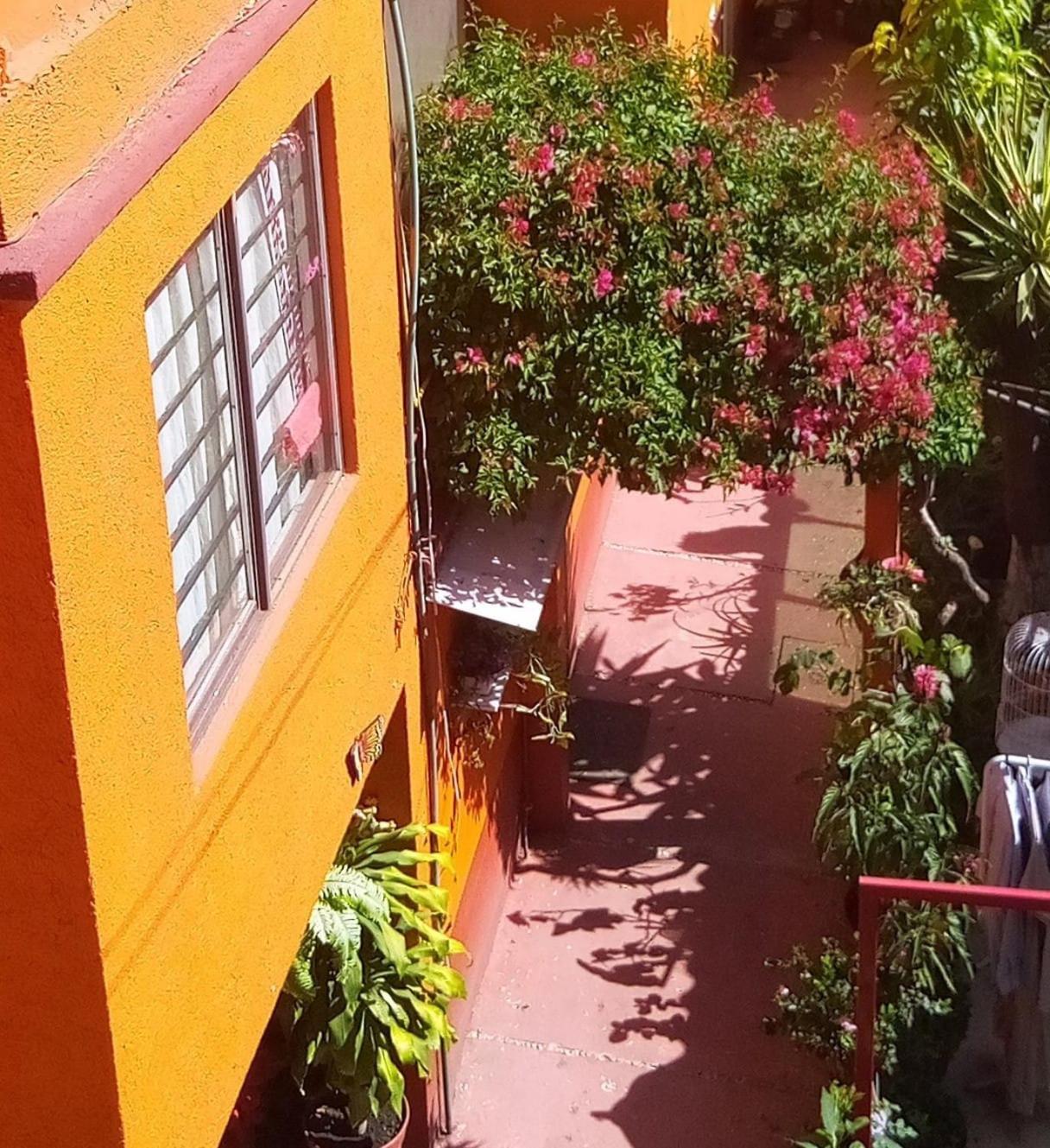 Hermoso Depa De 3 Recamaras Y 2 Banos En El Centro De Coyoacan Apartment Ciudad de México Exterior foto